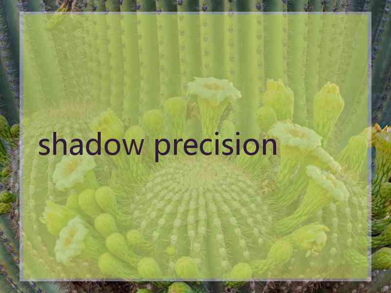 shadow precision