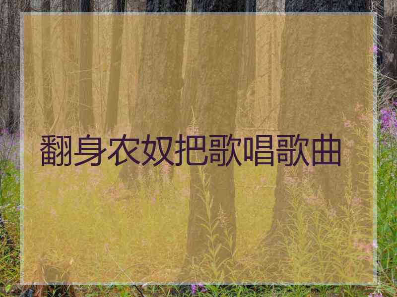 翻身农奴把歌唱歌曲