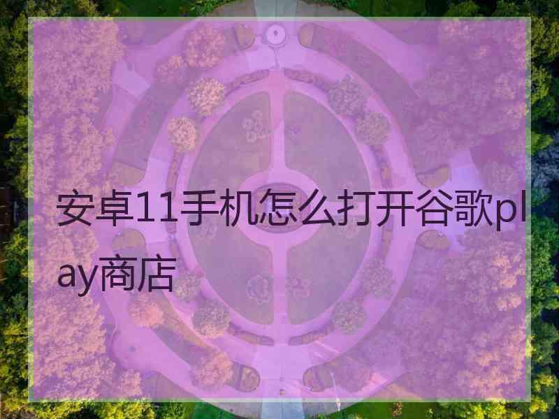 安卓11手机怎么打开谷歌play商店