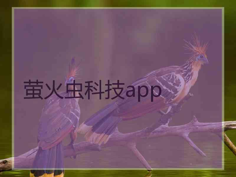 萤火虫科技app