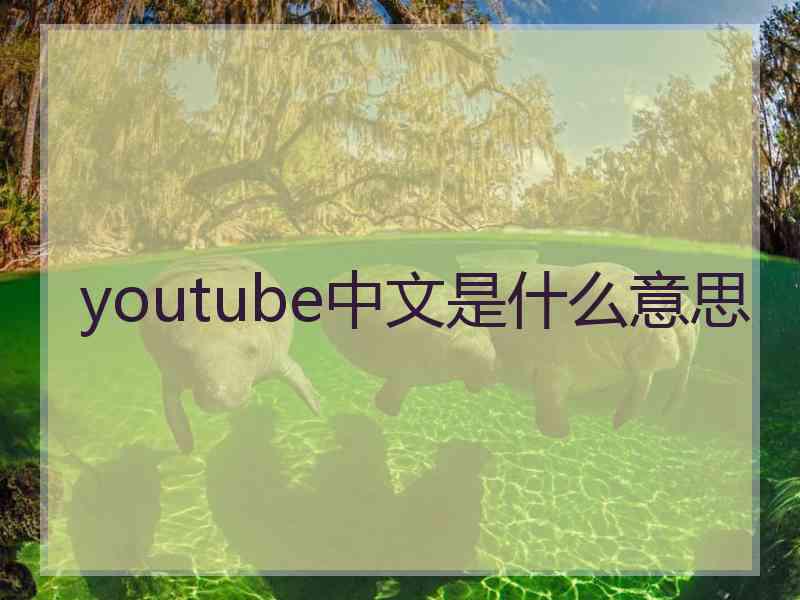 youtube中文是什么意思