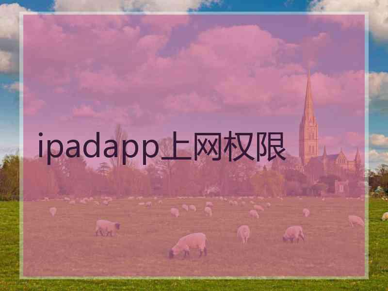 ipadapp上网权限