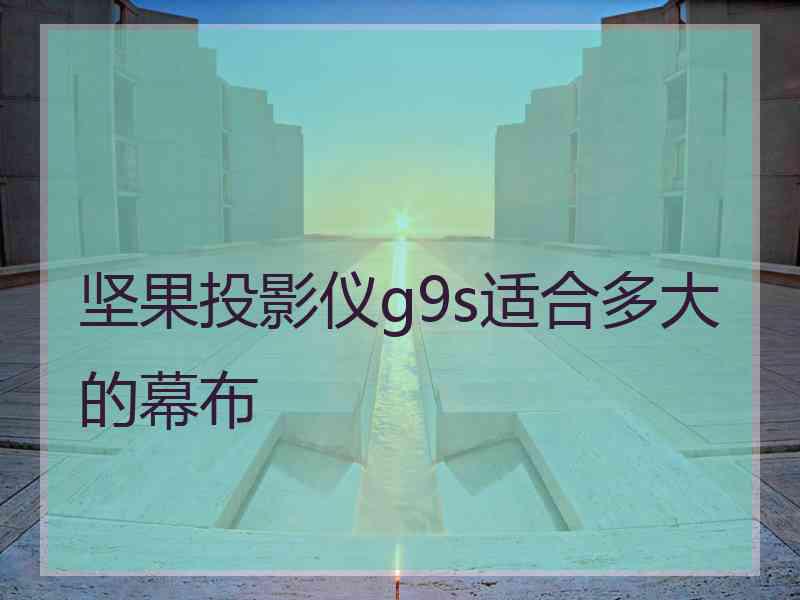 坚果投影仪g9s适合多大的幕布