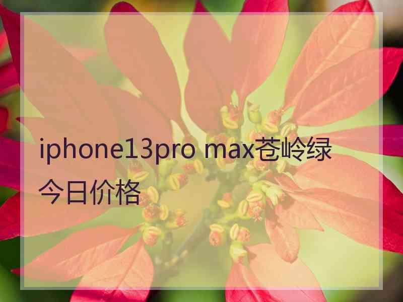 iphone13pro max苍岭绿今日价格