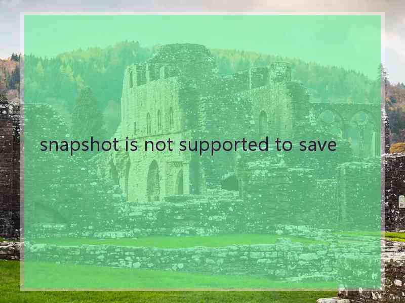 snapshot is not supported to save