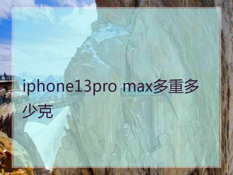 iphone13pro max多重多少克