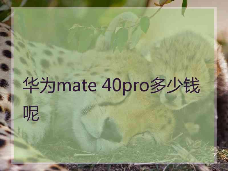 华为mate 40pro多少钱呢