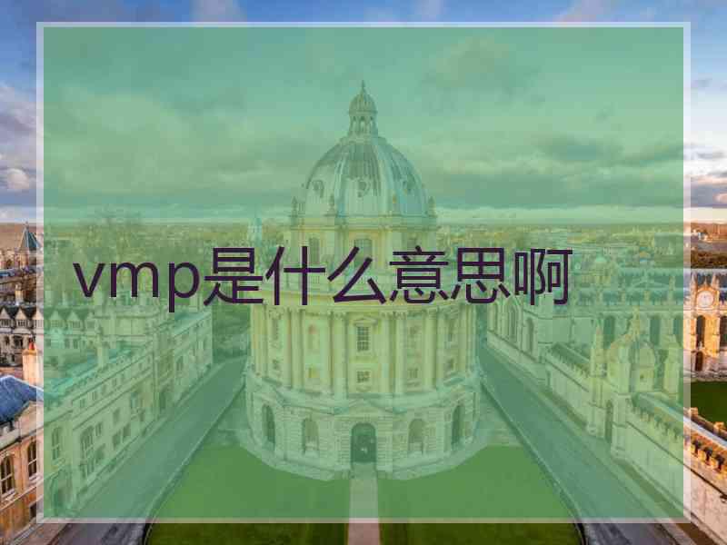 vmp是什么意思啊