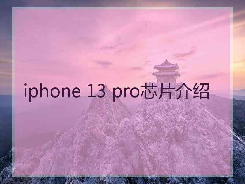 iphone 13 pro芯片介绍