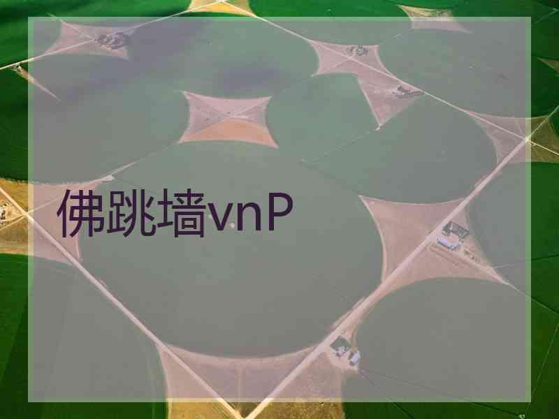 佛跳墙vnP