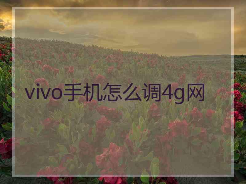 vivo手机怎么调4g网