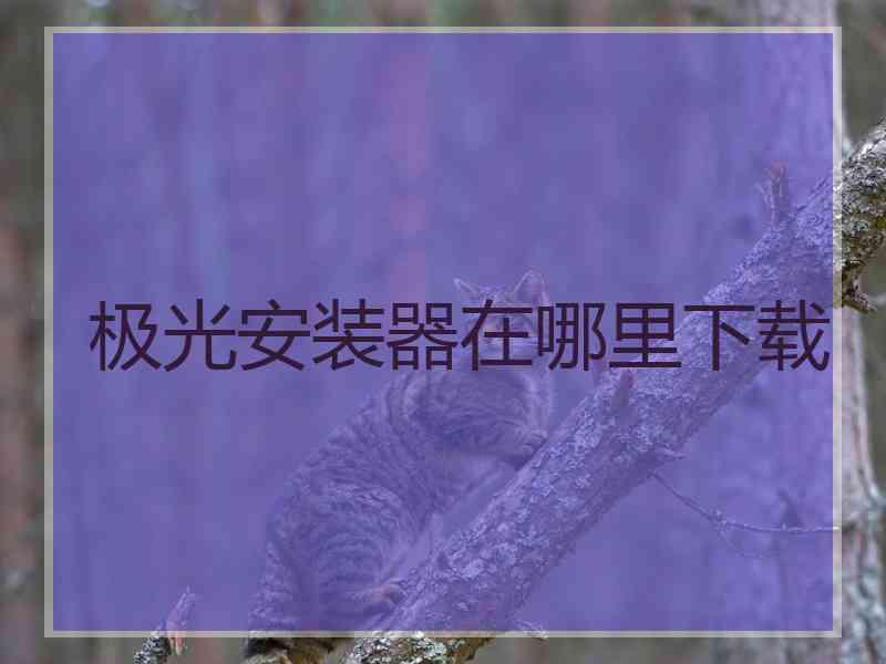 极光安装器在哪里下载