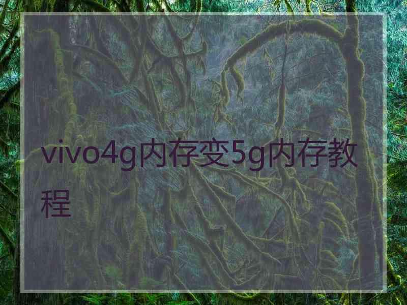 vivo4g内存变5g内存教程