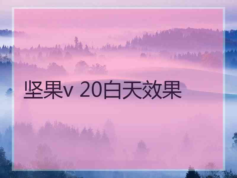 坚果v 20白天效果