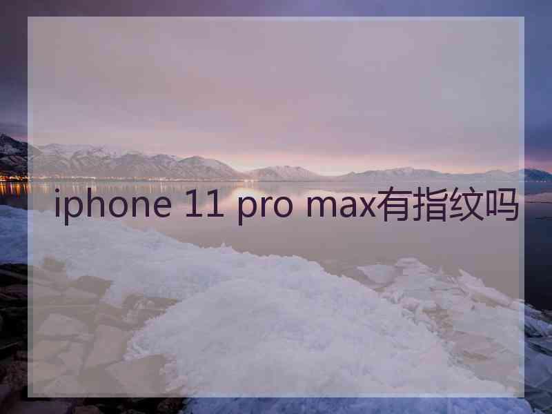 iphone 11 pro max有指纹吗