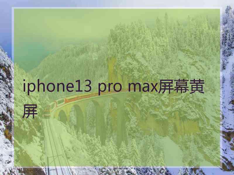 iphone13 pro max屏幕黄屏