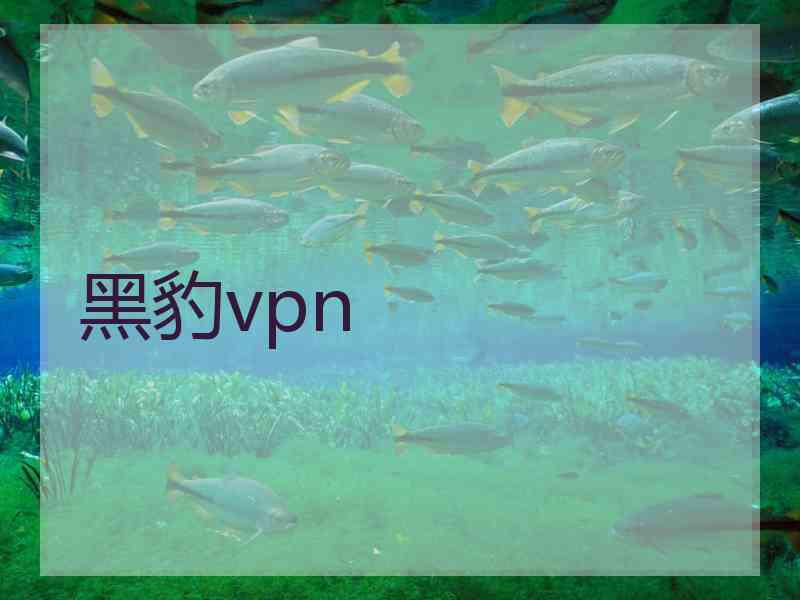 黑豹vpn