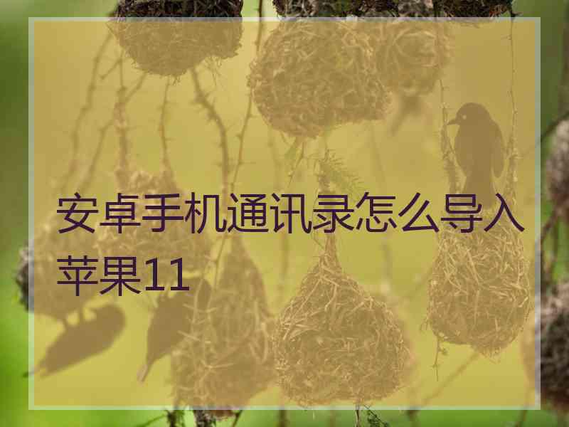 安卓手机通讯录怎么导入苹果11