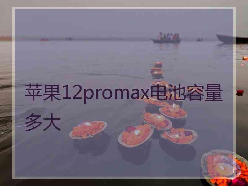 苹果12promax电池容量多大