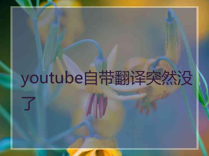 youtube自带翻译突然没了