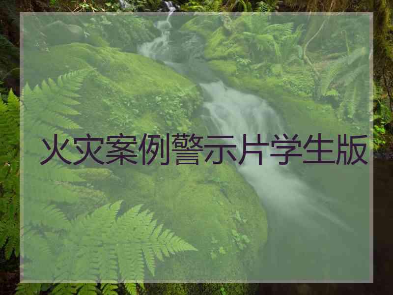 火灾案例警示片学生版