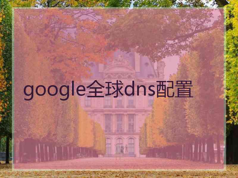 google全球dns配置