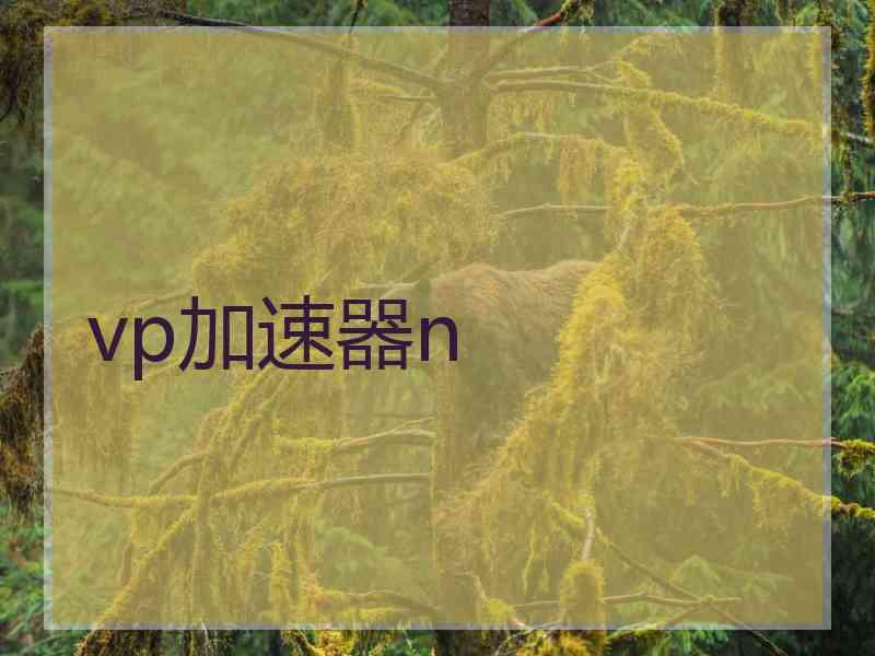 vp加速器n