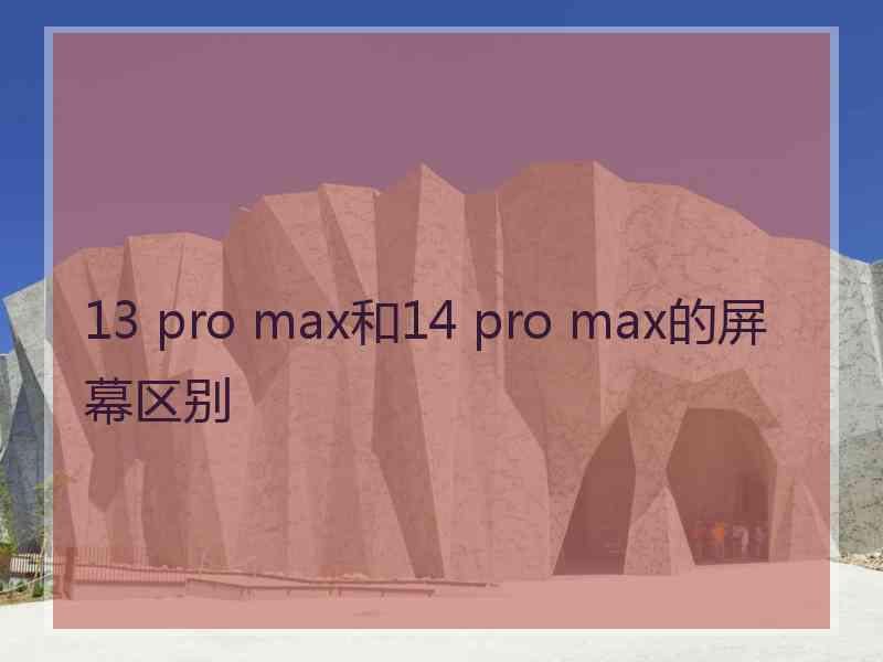 13 pro max和14 pro max的屏幕区别