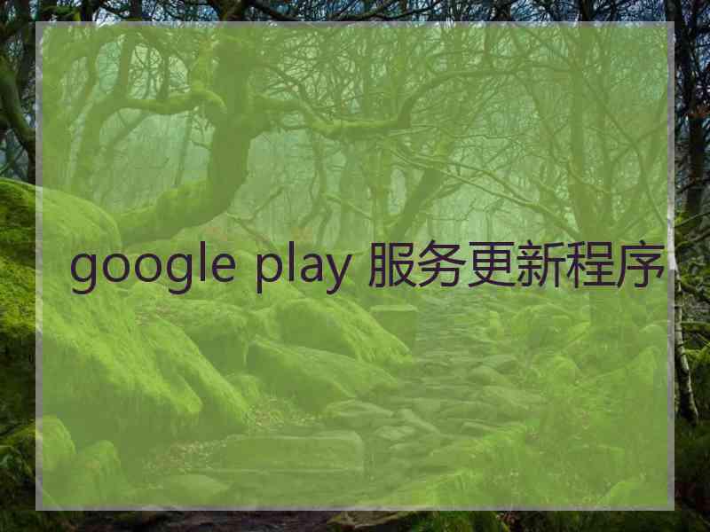 google play 服务更新程序