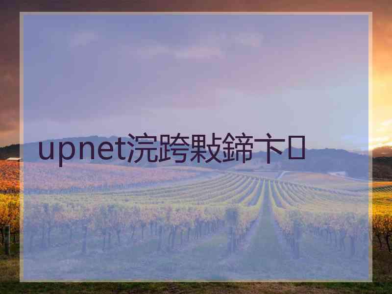 upnet浣跨敤鍗卞