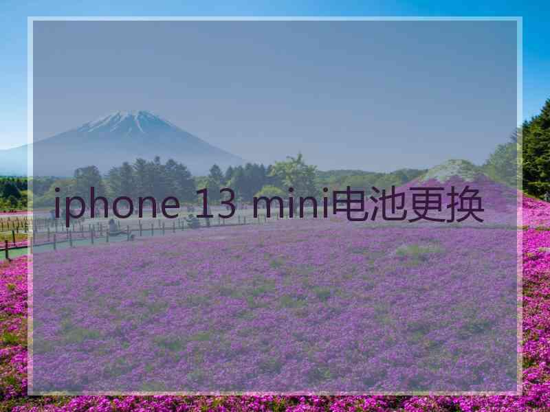 iphone 13 mini电池更换