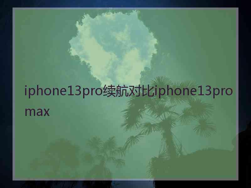 iphone13pro续航对比iphone13promax