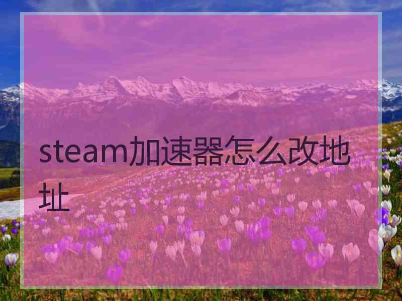 steam加速器怎么改地址