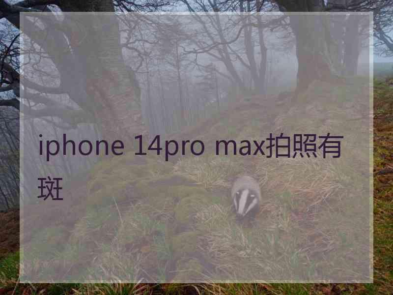 iphone 14pro max拍照有斑