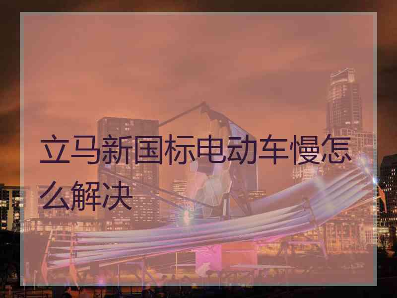 立马新国标电动车慢怎么解决