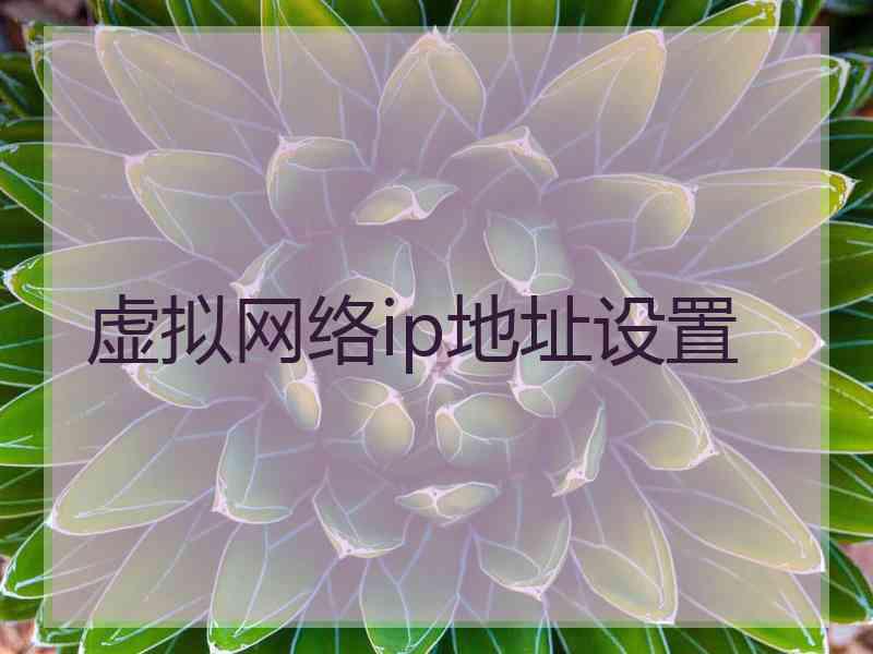 虚拟网络ip地址设置