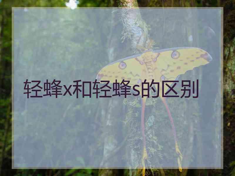 轻蜂x和轻蜂s的区别