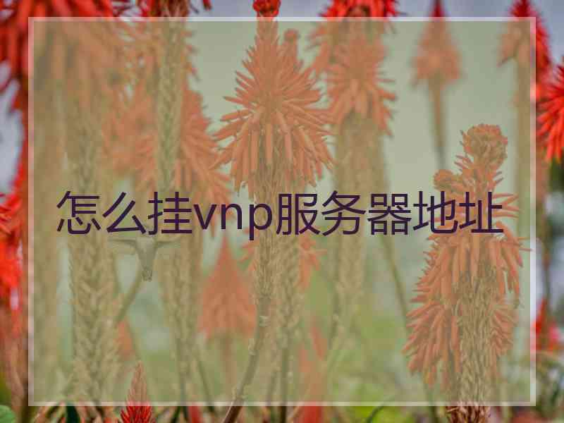 怎么挂vnp服务器地址