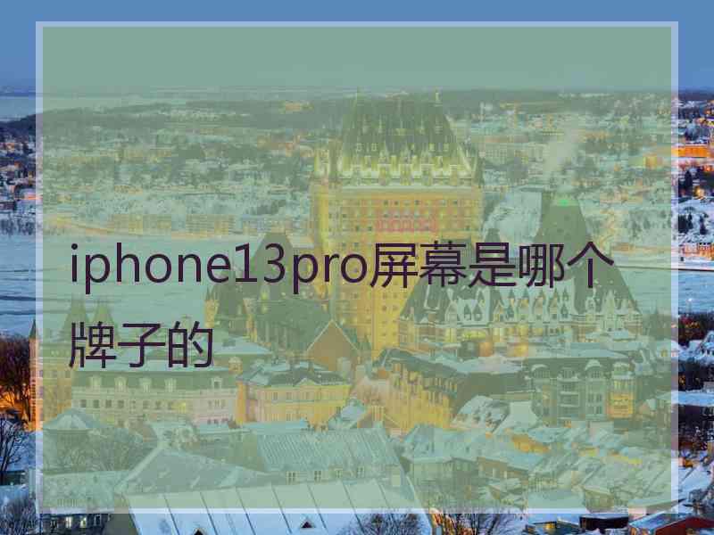 iphone13pro屏幕是哪个牌子的