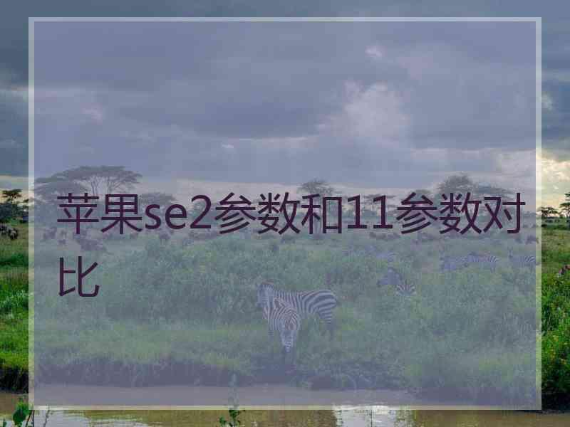 苹果se2参数和11参数对比