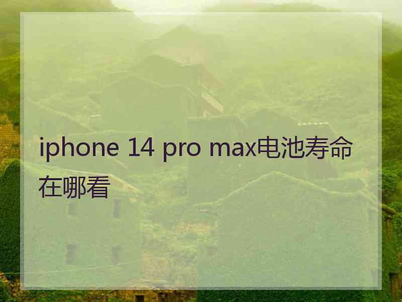 iphone 14 pro max电池寿命在哪看