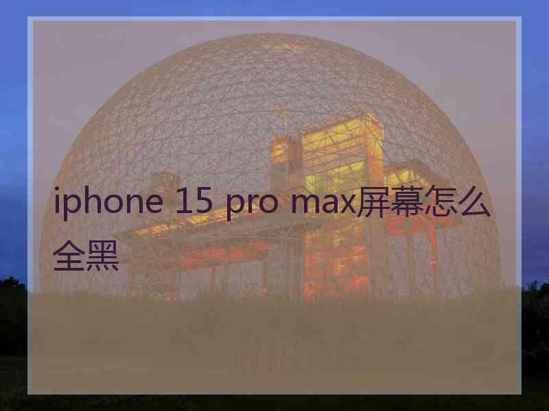 iphone 15 pro max屏幕怎么全黑