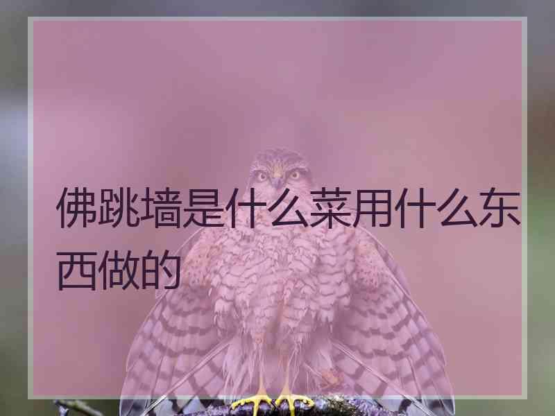 佛跳墙是什么菜用什么东西做的