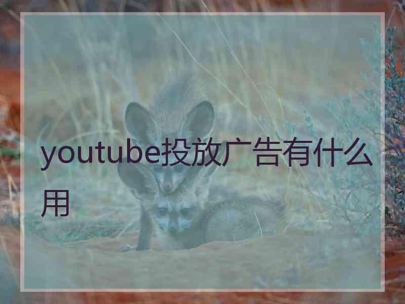 youtube投放广告有什么用