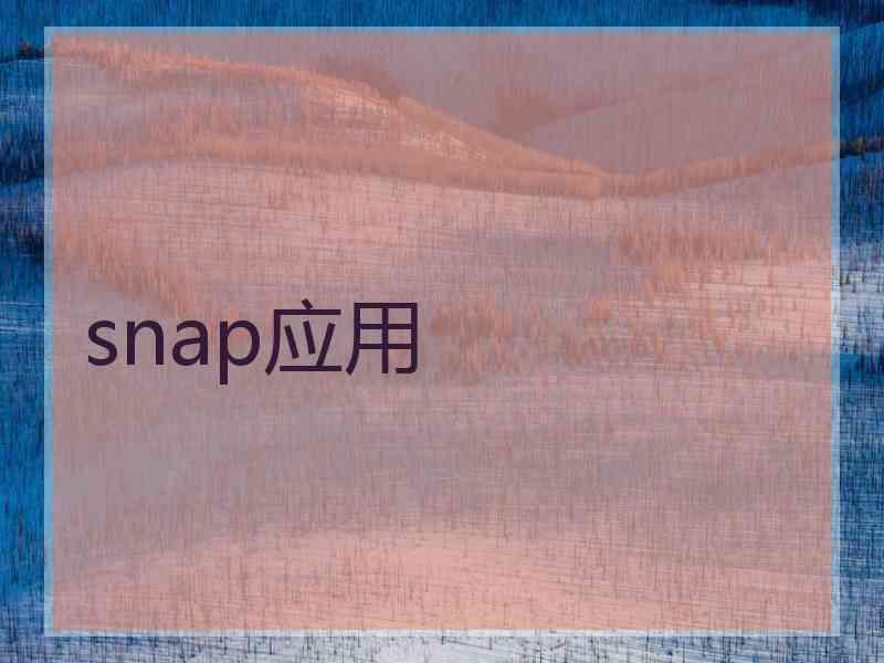 snap应用