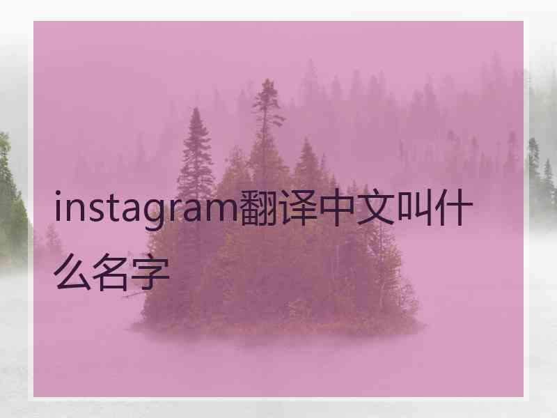 instagram翻译中文叫什么名字