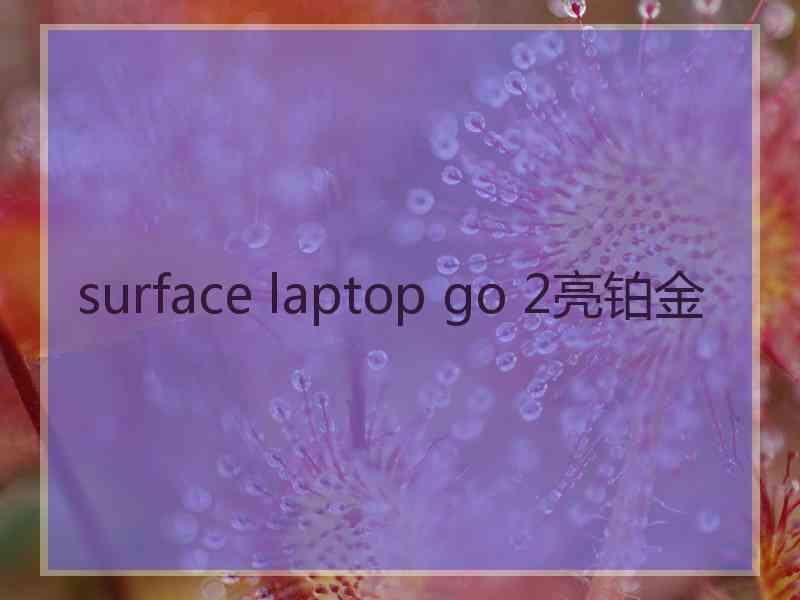 surface laptop go 2亮铂金