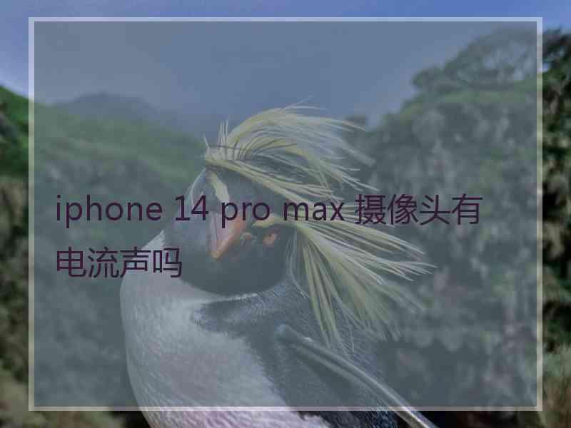 iphone 14 pro max 摄像头有电流声吗