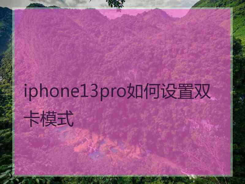 iphone13pro如何设置双卡模式