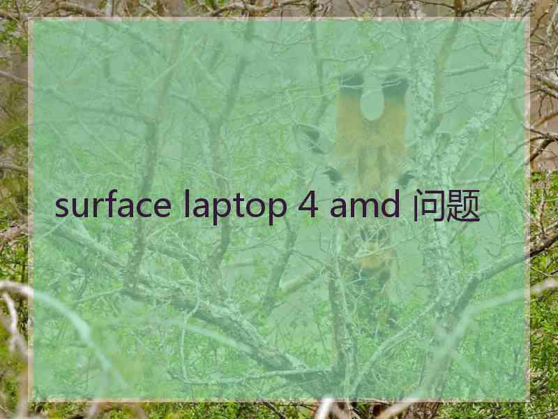 surface laptop 4 amd 问题